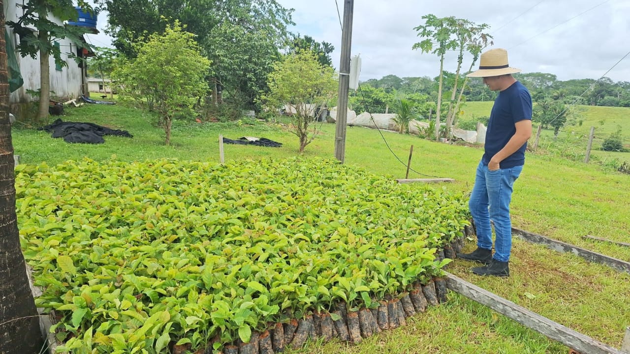 Prefeitura de Rio Branco fortalece Agricultura Familiar com mais de 790 atendimentos técnicos, distribuição de insumos