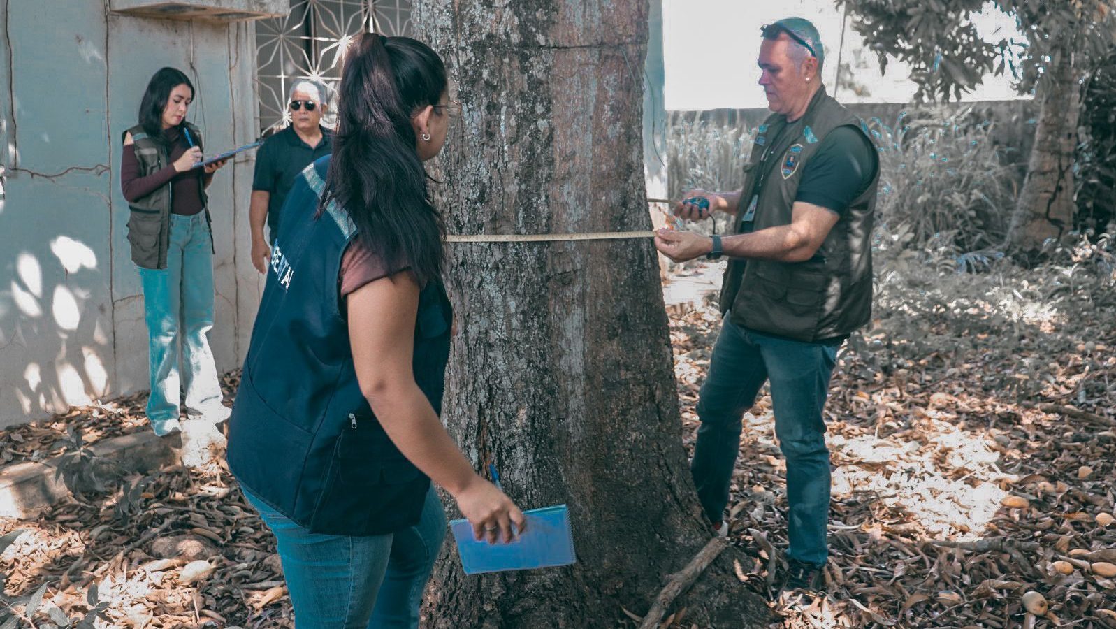 Nova lei federal traz mais celeridade e segurança aos procedimentos de poda e corte de árvores em Rio Branco