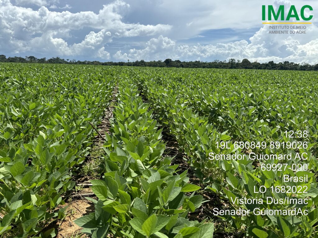 Imac licencia quase 18 mil hectares para plantio de milho e de soja 
