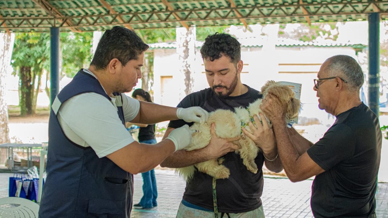 Prefeitura de Rio Branco promove grande ação de proteção animal com 936 vacinas e 30 adoções