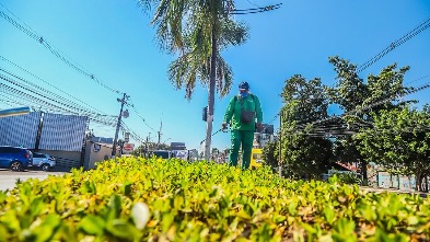Prefeitura intensifica manutenção de jardins, rotatórias e canteiros em Rio Branco